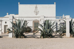 Entrance with agave at Masseria Potenti in Puglia Photographer Maria Teresa Furnari