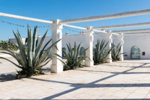 Patio with agave at Masseria Potenti in Puglia Photographer Maria Teresa Furnari