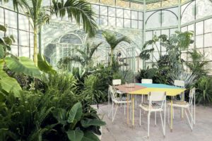 Aquiloni collection of the designer Derek Castiglioni shot in a greenhouse for AD USA Photographer Maria Teresa Furnari