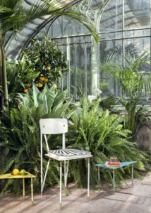 Chair and coffee tables of Aquiloni collection of the designer Derek Castiglioni shooted in a greenhouse for AD USA Photographer Maria Teresa Furnari