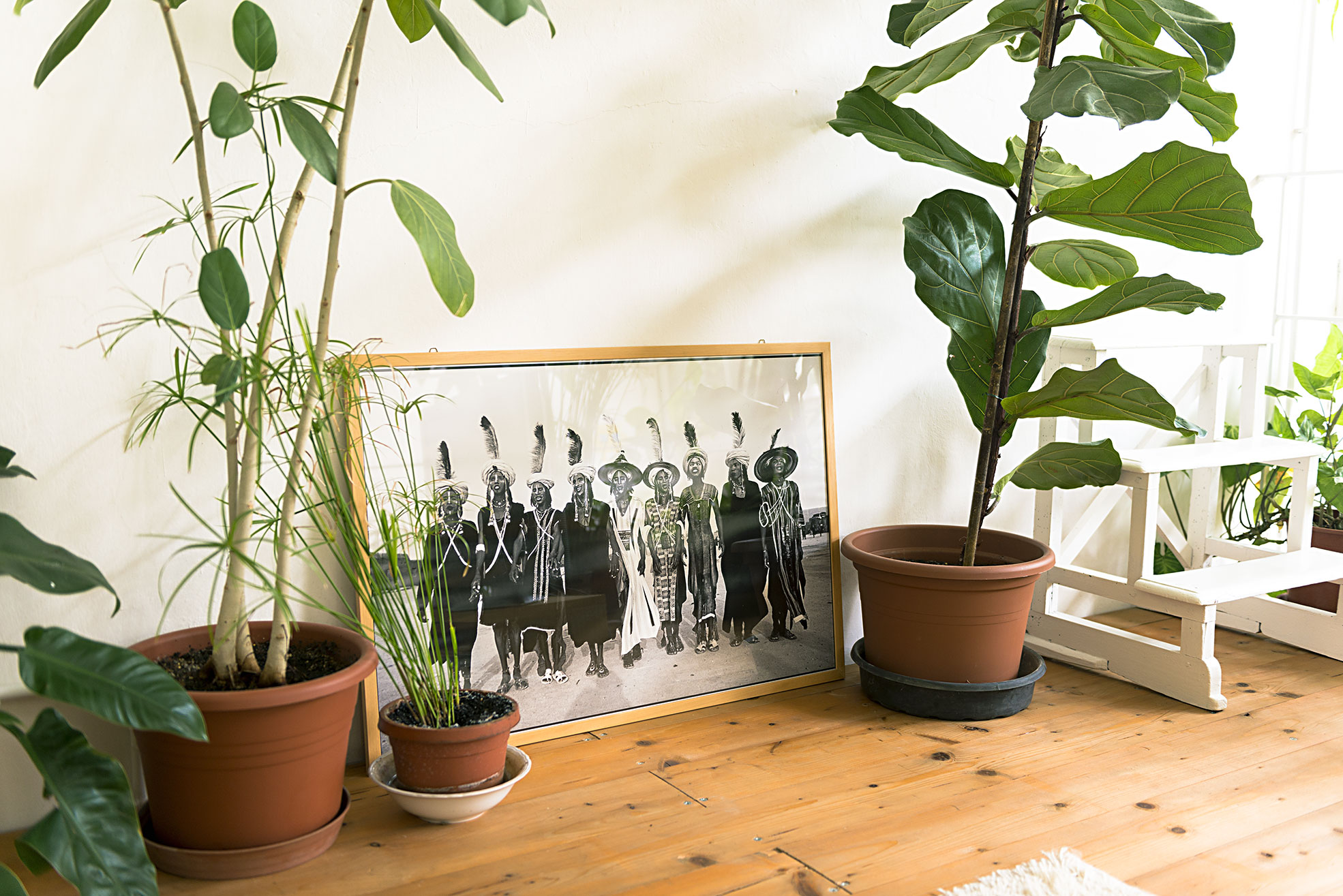 Detail of black and white photo and plants in Cinema Flora Photographer Maria Teresa Furnari