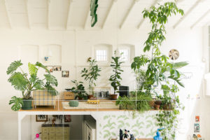 Mezzanine with a lot of plants in Cinema Flora Photographer Maria Teresa Furnari