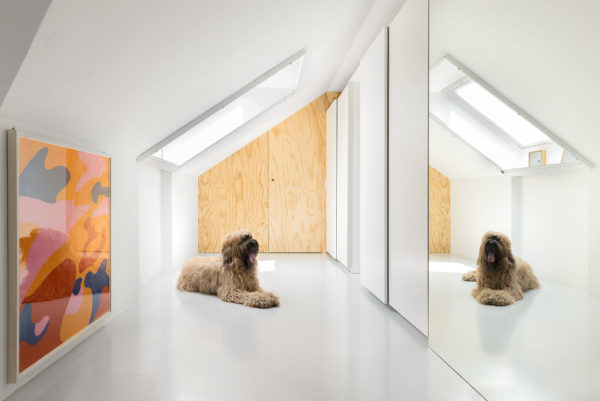 A dog and a painting in front a mirror