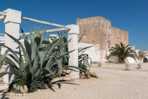 Entrance with agave at Masseria Potenti in Puglia Photographer Maria Teresa Furnari