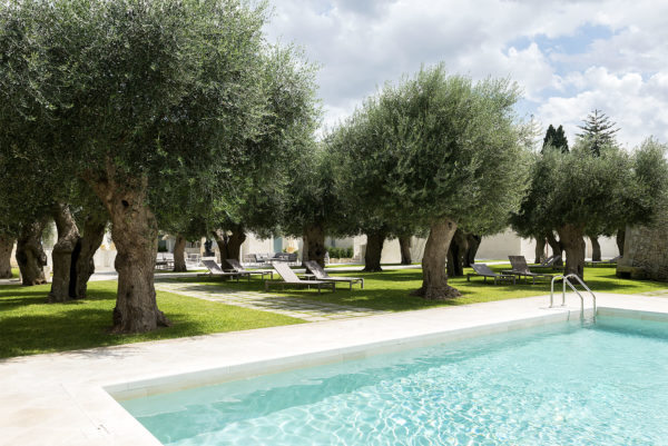 GSwimming pool and olive trees in La fiermontina resort in Lecce Photographer Maria Teresa Furnari